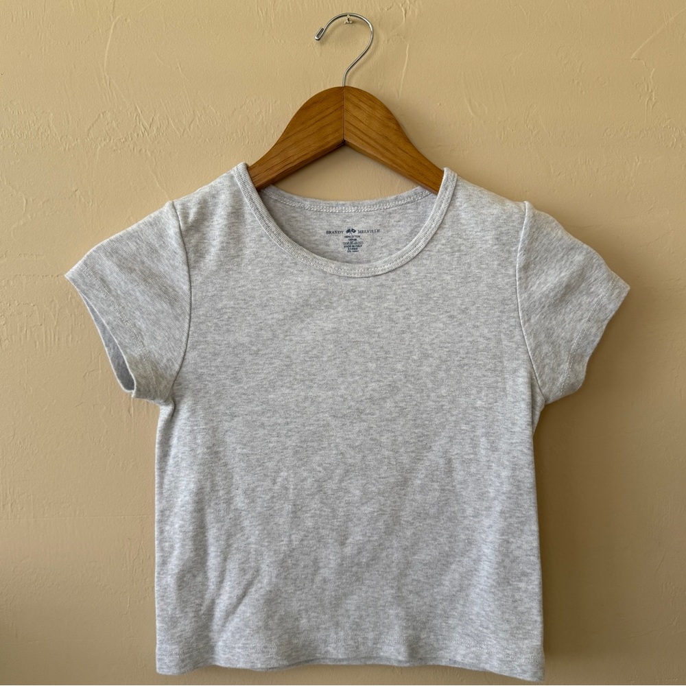 Brandy Melville Light Gray Short Sleeve Crop Top